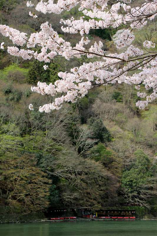 大堰川_20-2.jpg