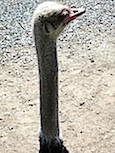 IMG_3924.JPG