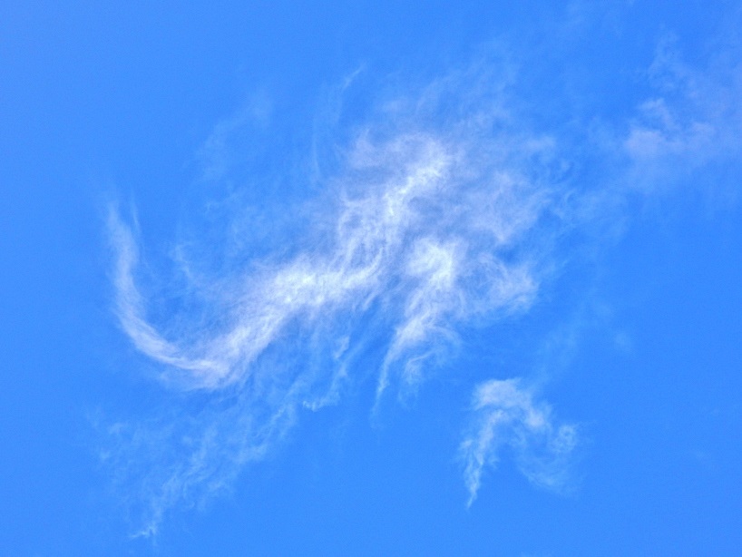 空4.JPG