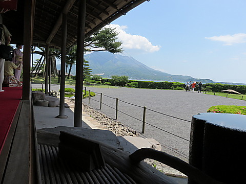 IMG_1346.jpg