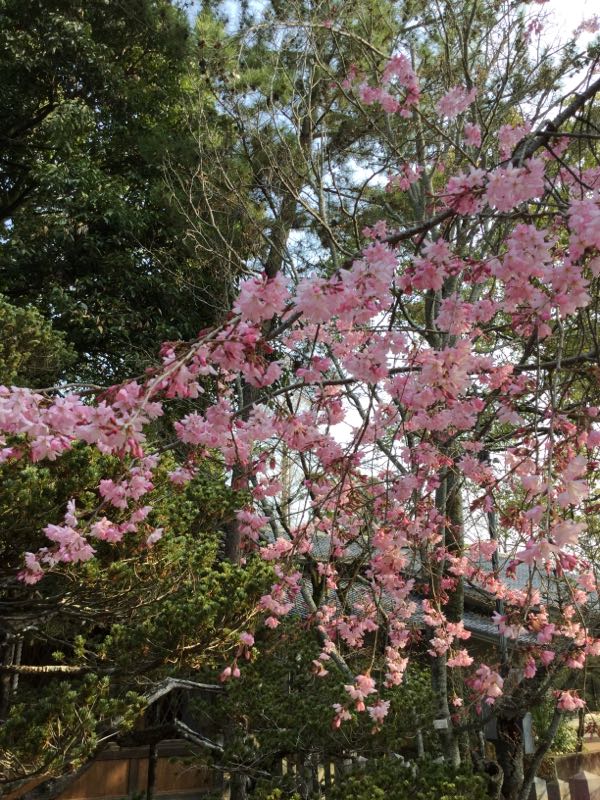 rblog-20180325092100-01.jpg