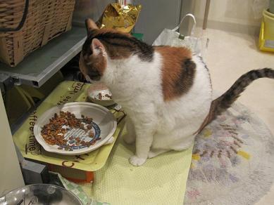 IMG_4665f.JPG