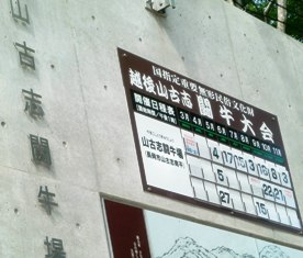 082 のコピー.jpg