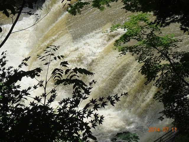 DSC04406_R.JPG