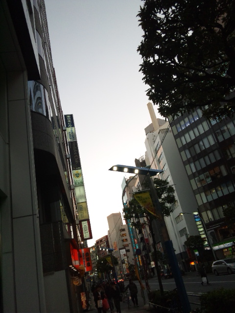 130127_164429.jpg