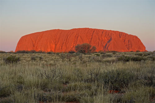 OZ790.jpg