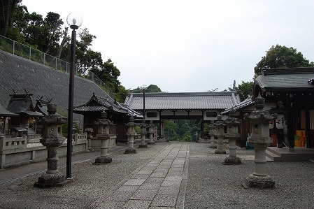 s-DSC_0388.jpg
