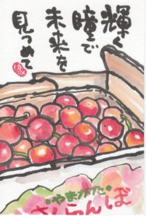 12623サクランボ1.jpg