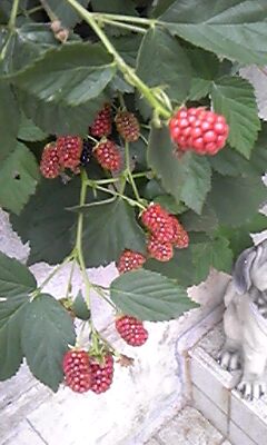 120624_180648.jpg