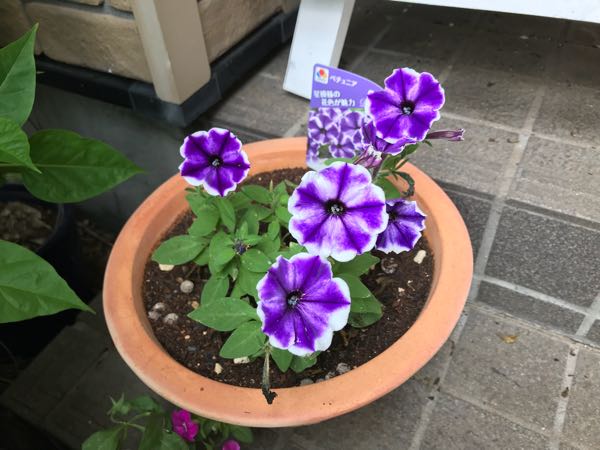 rblog-20180624174923-09.jpg