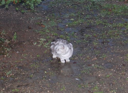 DSC_0783.JPG