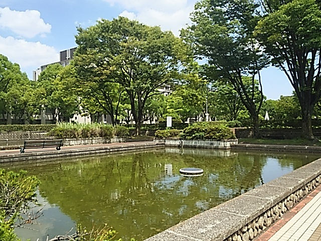 290708大学２.JPG