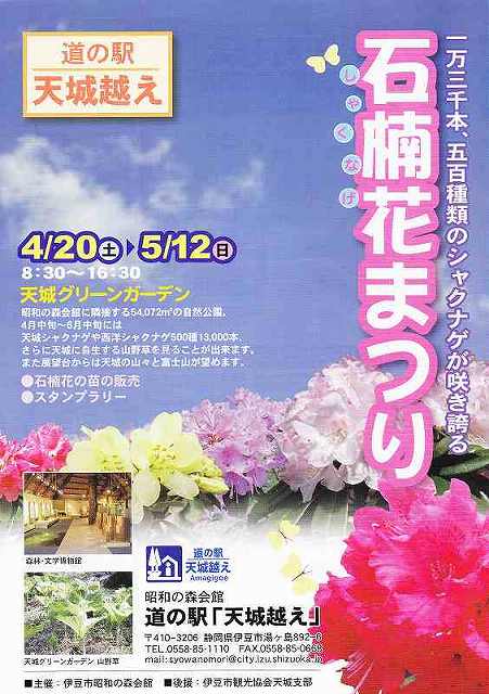 道の駅天城越え しゃくなげまつり ４月２０日から 白壁荘だより 天城百話 楽天ブログ