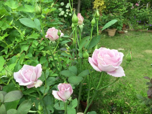 rblog-20170627211100-06.jpg