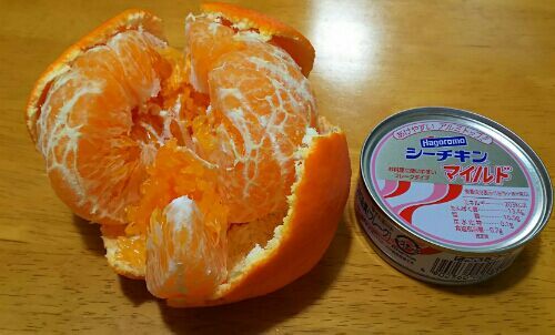 rblog-20190215234651-02.jpg