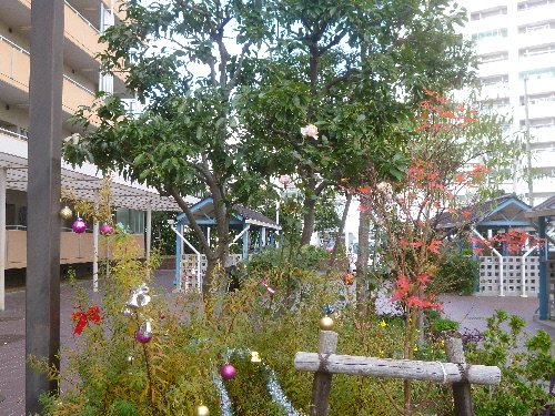 P1080132(1).JPG