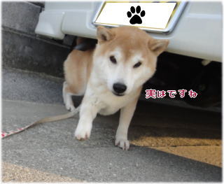 0101トム5.jpg