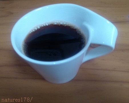 今日のコーヒー　　しゃちブレンド　加藤珈琲