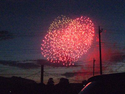 IMG_2017.jpg