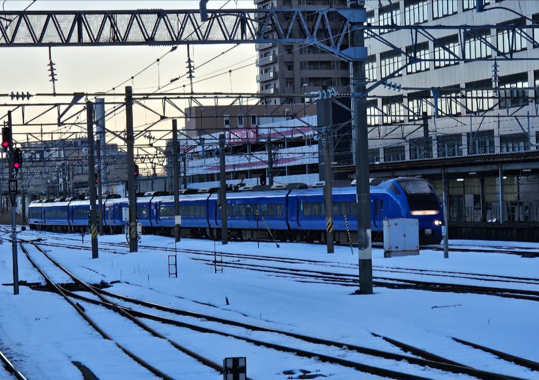 乗車記録番外】JR東日本トレインスタンプラリー・鉄路を駆ける