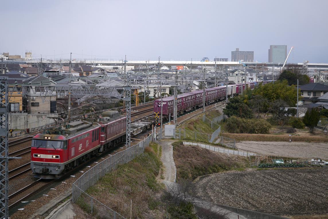 P1010937.JPG