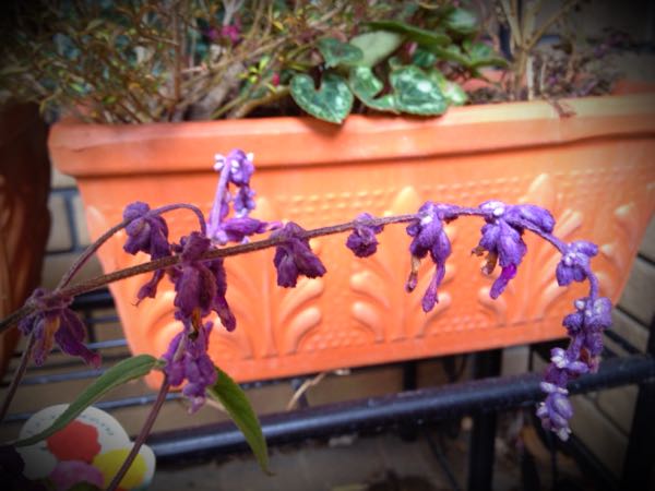 rblog-20141225200421-04.jpg