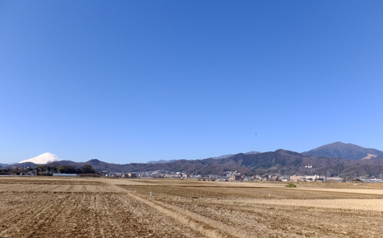 DSCF6386.jpg