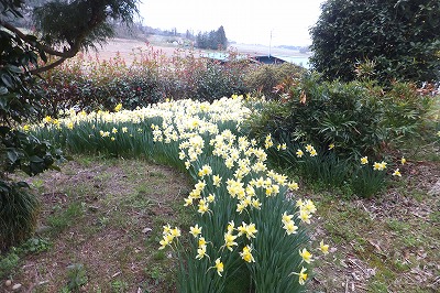 DSCF3330.jpg