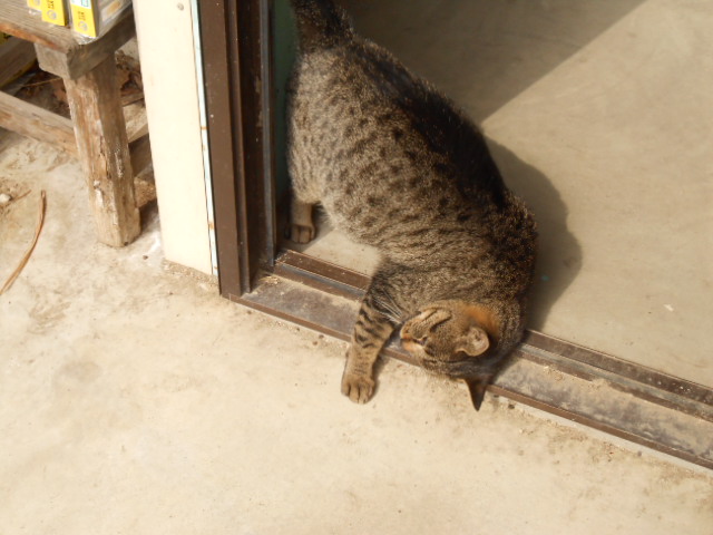 DSCN0962.JPG