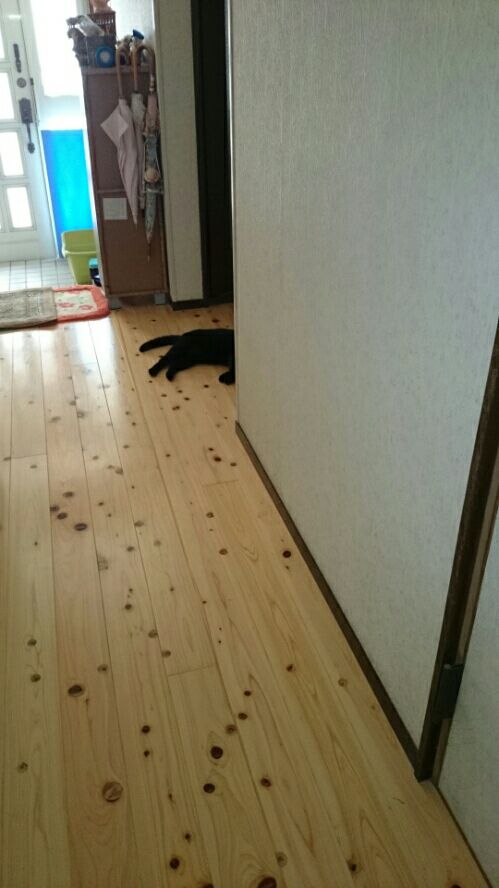 rblog-20160708155226-05.jpg