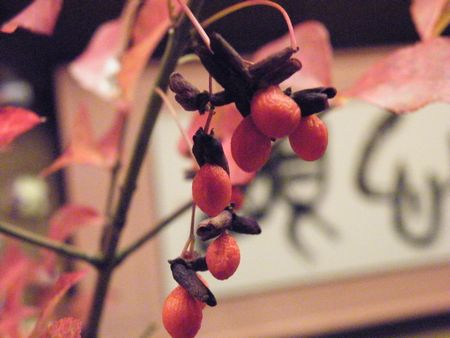 DSCF9390-o.jpg