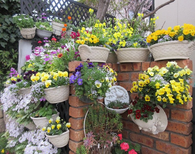狭い庭を花いっぱいおしゃれにするコツ ミムラスの植え替え 狭い庭を花いっぱいにする育て方 楽天ブログ 狭い庭を花いっぱいおしゃれにするコツ ミムラスの植え替え 狭い庭を花いっぱいにする育て方 楽天ブログ