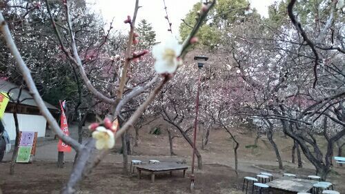 rblog-20170212234334-01.jpg