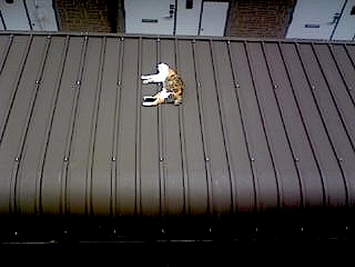 080707_140958.jpg