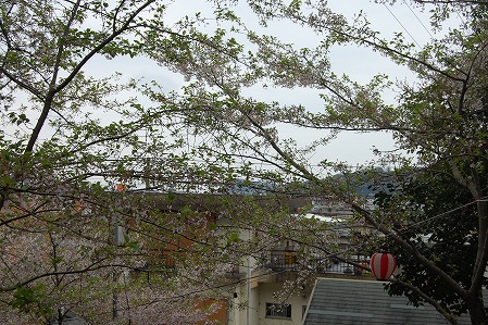 s-DSC_0318.jpg
