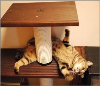 見せるアタシ
