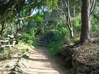 遊歩道.jpg