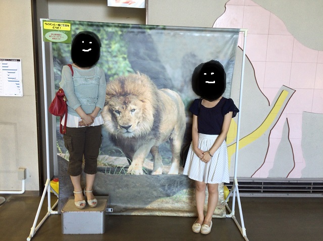 S__16252931.jpg