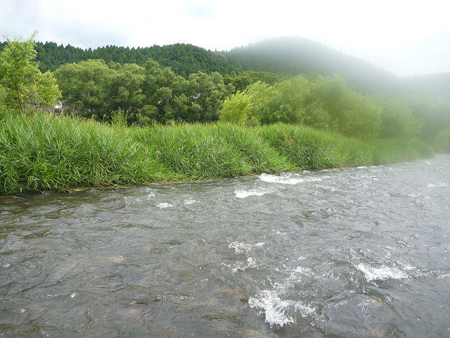 resize0024.jpg