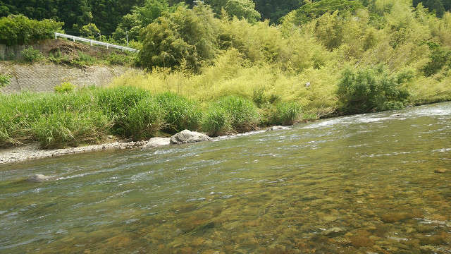 resize0010.jpg