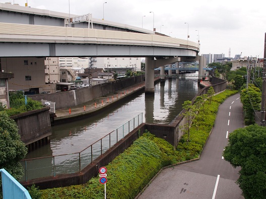 3.旧綾瀬川と堤防.JPG