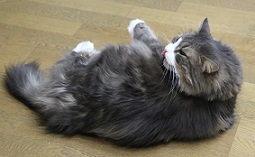 5DA_7085-20.jpg