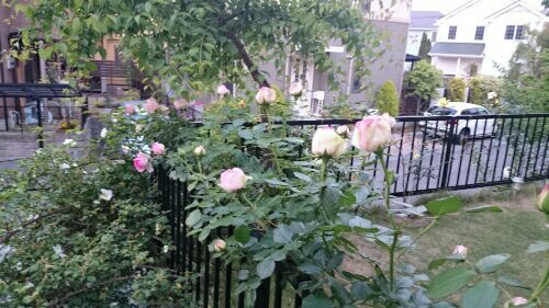 rblog-20170521200608-01.jpg