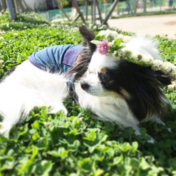 rblog-20160507230704-01.jpg
