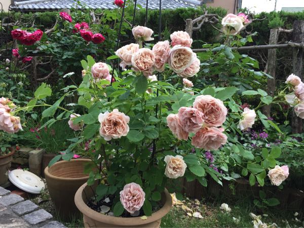 rblog-20170525224912-09.jpg