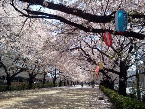 2012-04-12 10.01.37 (480x360).jpg