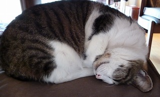 P1020547-ass.jpg