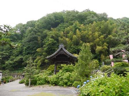 あじさい寺０４
