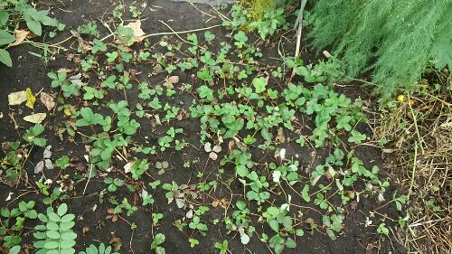 rblog-20160911193743-03.jpg