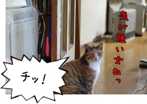 画像 120.jpg